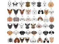 Protected by dogs baby bodysuit, Personalised pick your pooch, Choose from 55 breeds + 288 dog variations