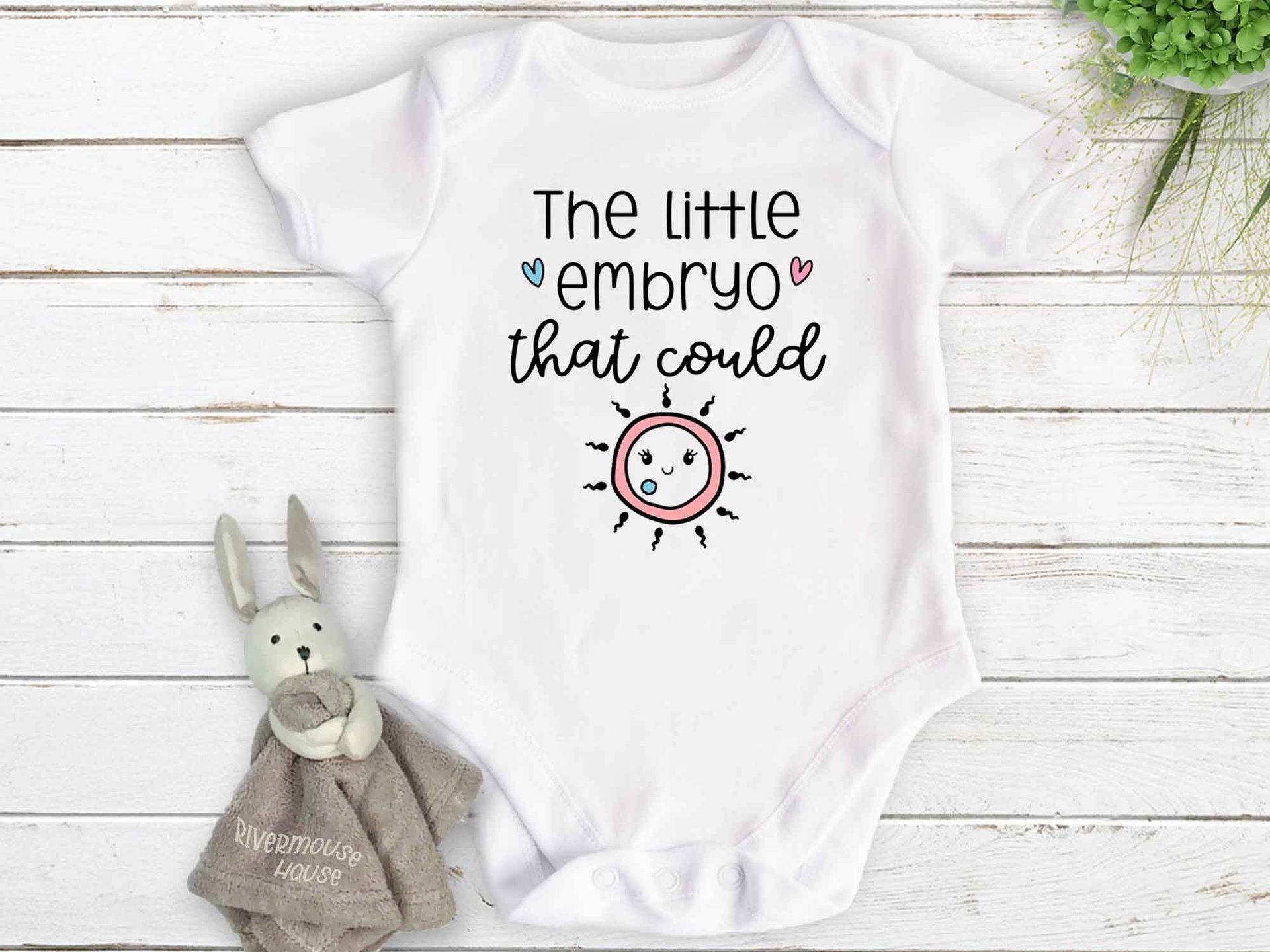 IVF Baby Bodysuit, The Little Embryo That Could, Personalised Pregnancy & Birth Announcement