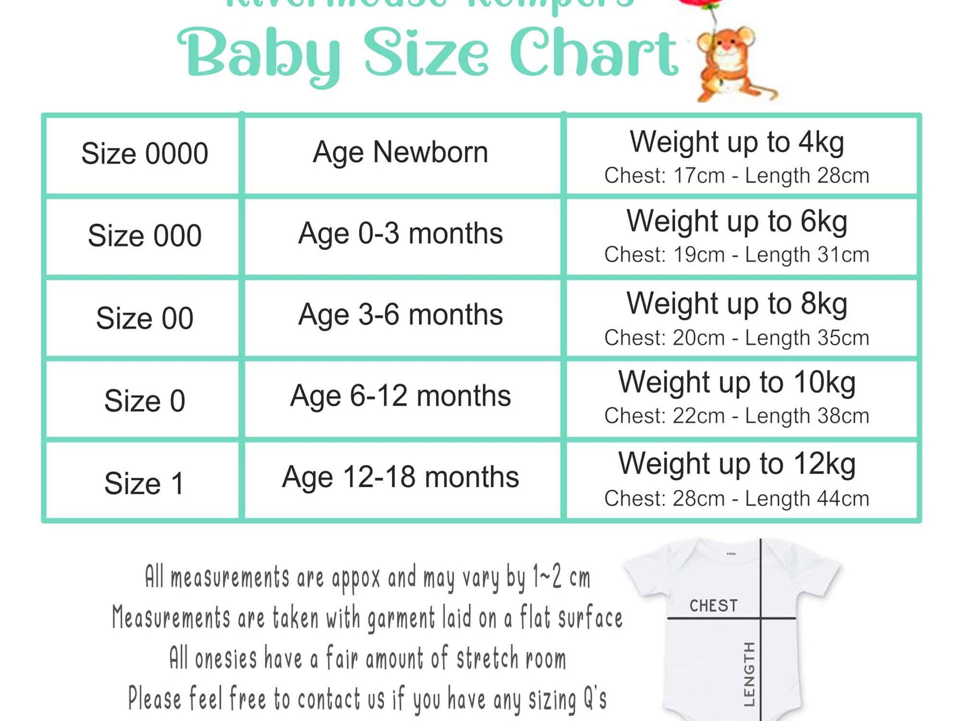 IVF Baby Bodysuit, The Little Embryo That Could, Personalised Pregnancy & Birth Announcement
