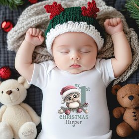 Baby Owl Personalised 1st Christmas Bodysuit, Custom Name Outfit